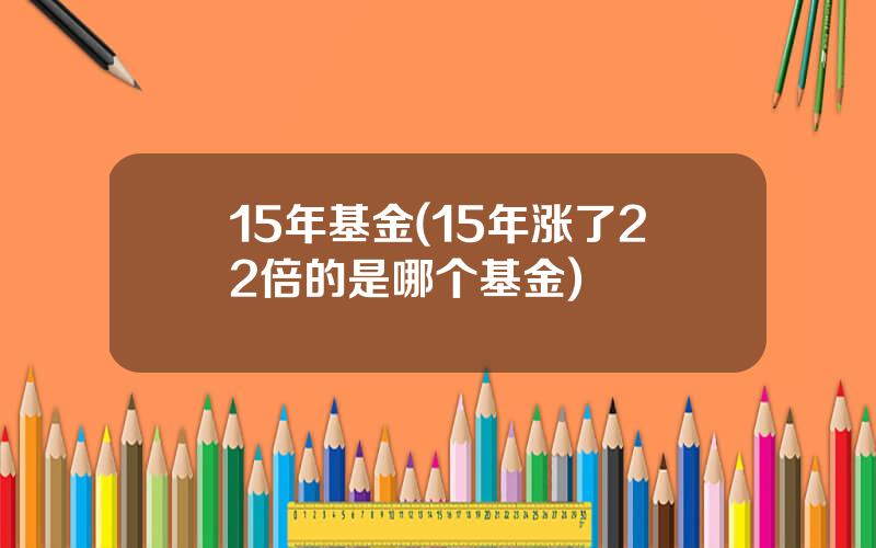 15年基金(15年涨了22倍的是哪个基金)