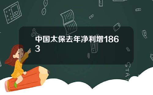 中国太保去年净利增1863