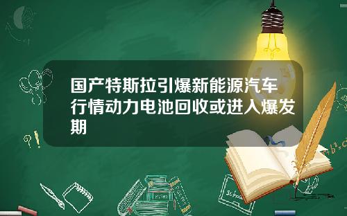 国产特斯拉引爆新能源汽车行情动力电池回收或进入爆发期