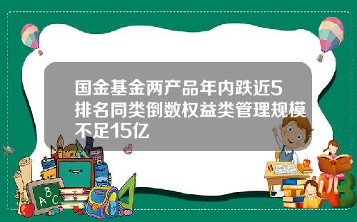 国金基金两产品年内跌近5排名同类倒数权益类管理规模不足15亿