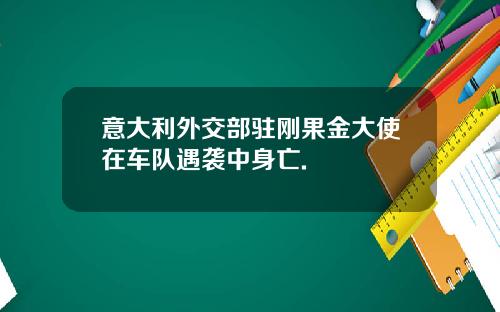 意大利外交部驻刚果金大使在车队遇袭中身亡.