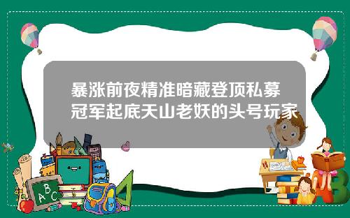 暴涨前夜精准暗藏登顶私募冠军起底天山老妖的头号玩家