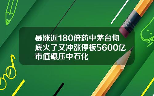 暴涨近180倍药中茅台彻底火了又冲涨停板5600亿市值碾压中石化