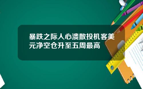 暴跌之际人心溃散投机客美元净空仓升至五周最高