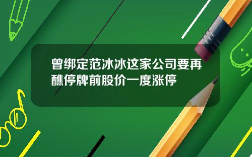 曾绑定范冰冰这家公司要再醮停牌前股价一度涨停