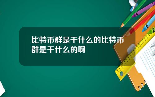 比特币群是干什么的比特币群是干什么的啊