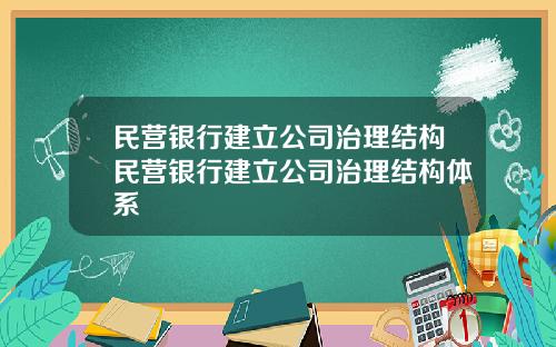 民营银行建立公司治理结构民营银行建立公司治理结构体系