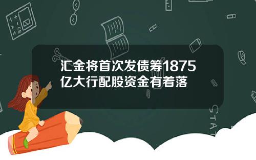 汇金将首次发债筹1875亿大行配股资金有着落