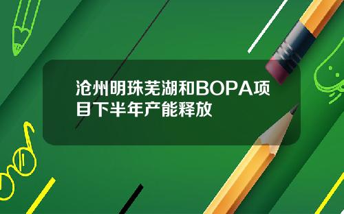 沧州明珠芜湖和BOPA项目下半年产能释放