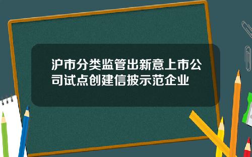 沪市分类监管出新意上市公司试点创建信披示范企业