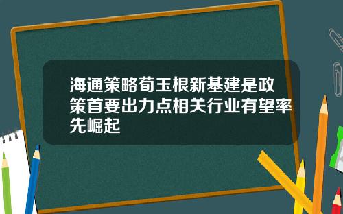 海通策略荀玉根新基建是政策首要出力点相关行业有望率先崛起