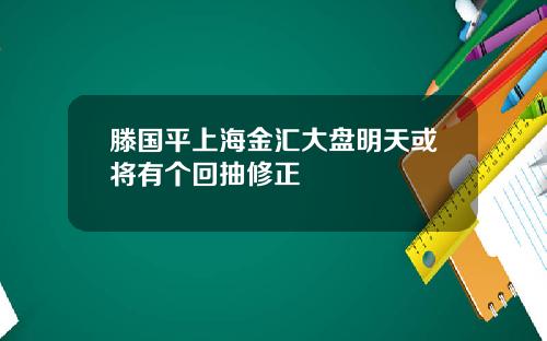 滕国平上海金汇大盘明天或将有个回抽修正