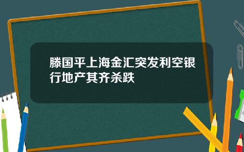 滕国平上海金汇突发利空银行地产其齐杀跌