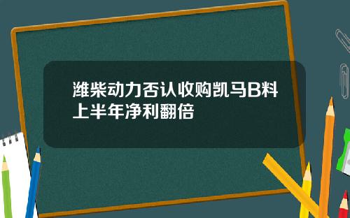 潍柴动力否认收购凯马B料上半年净利翻倍