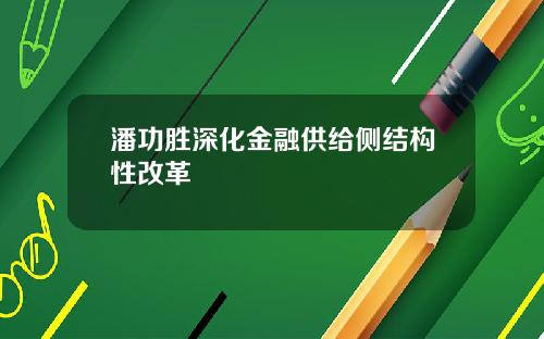 潘功胜深化金融供给侧结构性改革