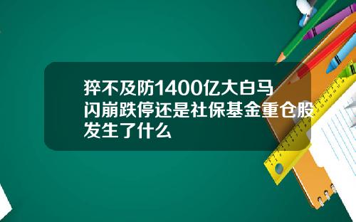 猝不及防1400亿大白马闪崩跌停还是社保基金重仓股发生了什么