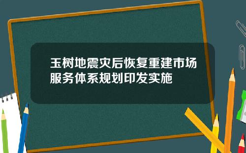 玉树地震灾后恢复重建市场服务体系规划印发实施