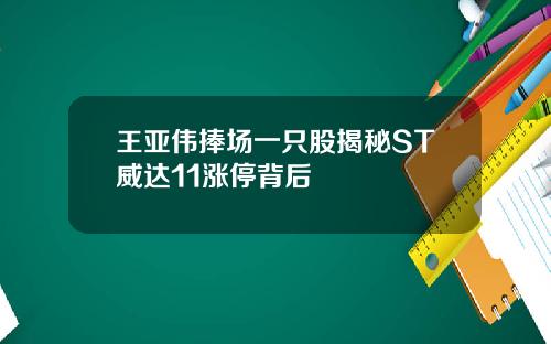 王亚伟捧场一只股揭秘ST威达11涨停背后