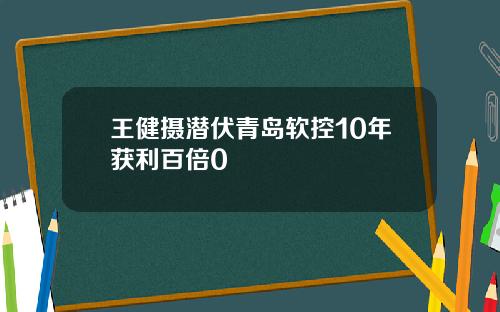 王健摄潜伏青岛软控10年获利百倍0