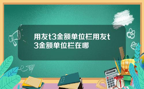 用友t3金额单位栏用友t3金额单位栏在哪