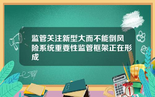 监管关注新型大而不能倒风险系统重要性监管框架正在形成