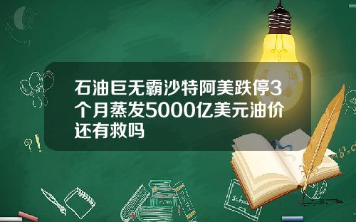 石油巨无霸沙特阿美跌停3个月蒸发5000亿美元油价还有救吗