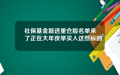 社保基金新进重仓股名单来了正在大年夜举买入这些标的