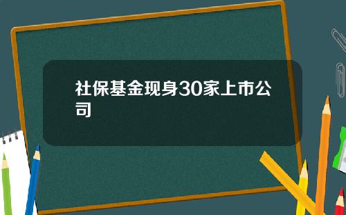 社保基金现身30家上市公司