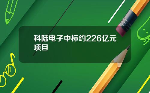 科陆电子中标约226亿元项目