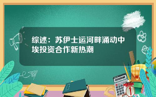 综述：苏伊士运河畔涌动中埃投资合作新热潮