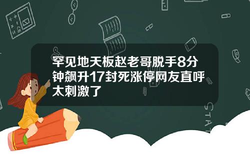 罕见地天板赵老哥脱手8分钟飙升17封死涨停网友直呼太刺激了