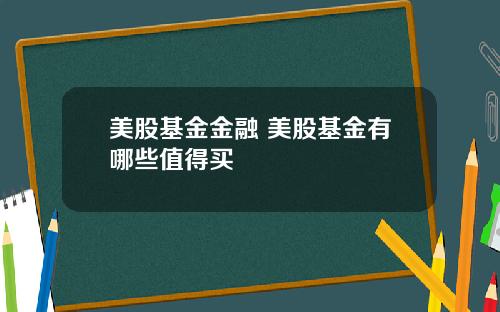 美股基金金融 美股基金有哪些值得买