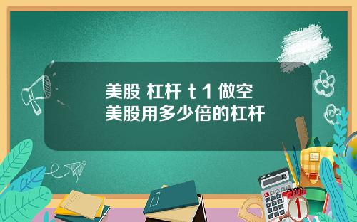 美股 杠杆 t 1 做空美股用多少倍的杠杆