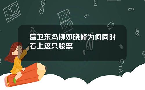 葛卫东冯柳邓晓峰为何同时看上这只股票