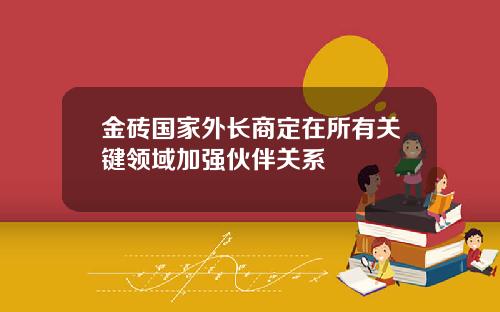 金砖国家外长商定在所有关键领域加强伙伴关系