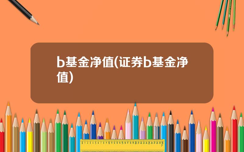 b基金净值(证券b基金净值)