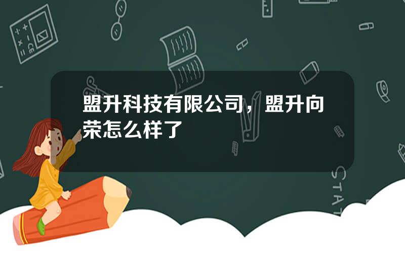 盟升科技有限公司，盟升向荣怎么样了