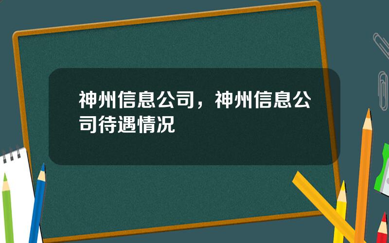 神州信息公司，神州信息公司待遇情况