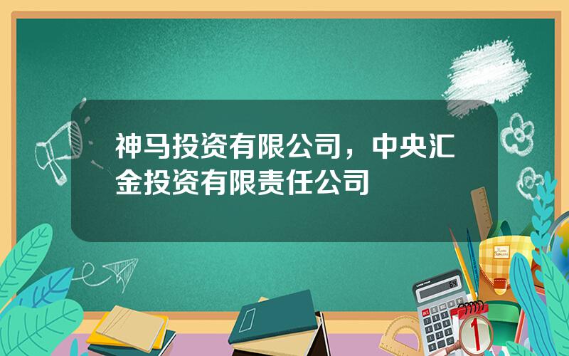 神马投资有限公司，中央汇金投资有限责任公司