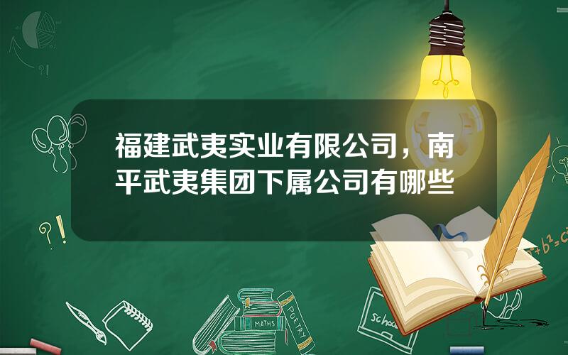 福建武夷实业有限公司，南平武夷集团下属公司有哪些