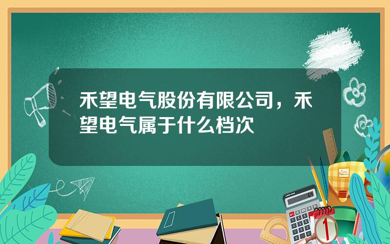 禾望电气股份有限公司，禾望电气属于什么档次