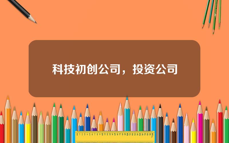 科技初创公司，投资公司