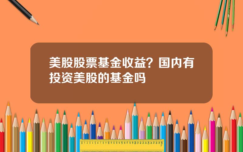 美股股票基金收益？国内有投资美股的基金吗