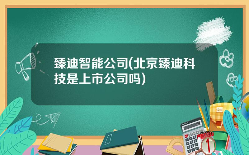 臻迪智能公司(北京臻迪科技是上市公司吗)