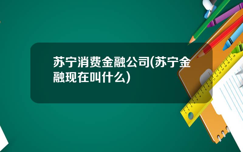 苏宁消费金融公司(苏宁金融现在叫什么)