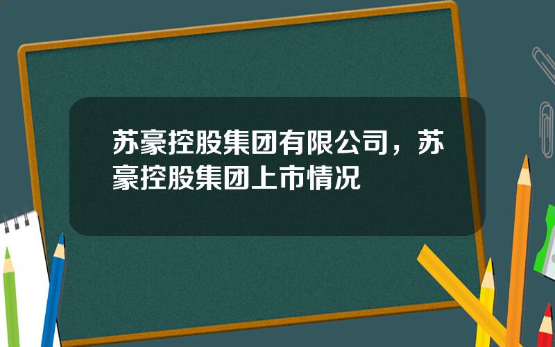 苏豪控股集团有限公司，苏豪控股集团上市情况