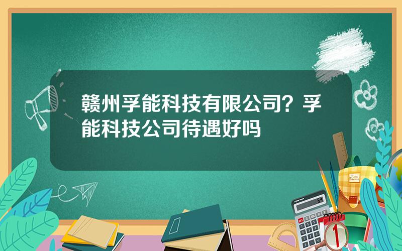 赣州孚能科技有限公司？孚能科技公司待遇好吗