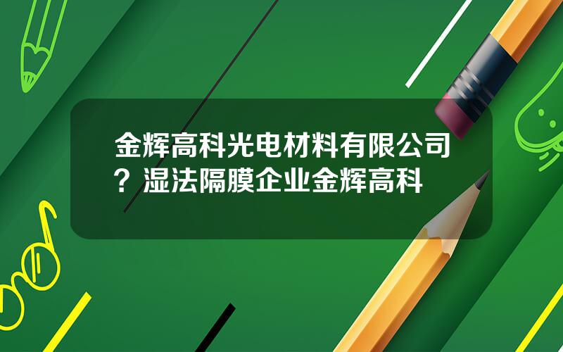 金辉高科光电材料有限公司？湿法隔膜企业金辉高科