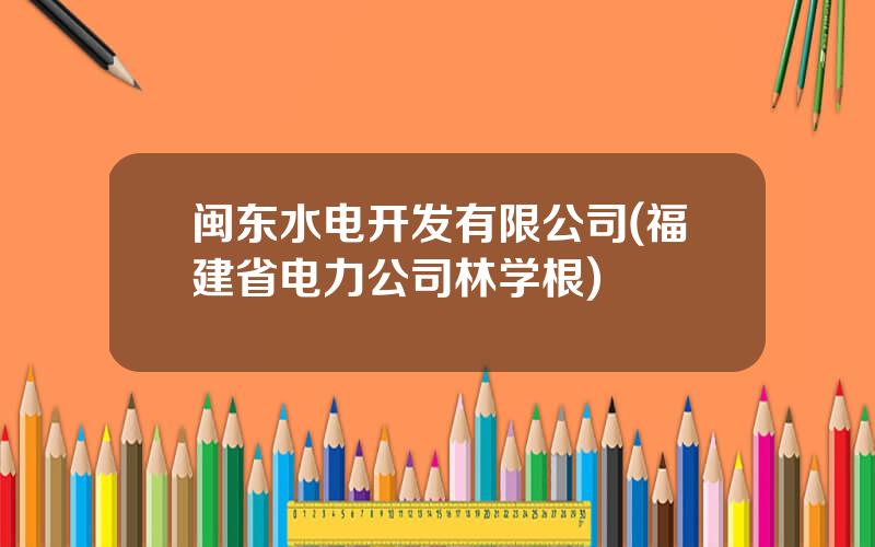 闽东水电开发有限公司(福建省电力公司林学根)