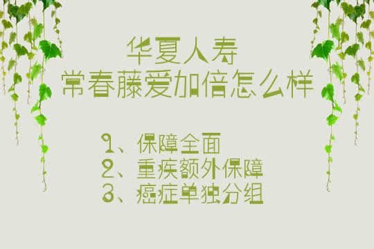 华夏常春藤爱加倍怎么样好不好？三大卖点看完再决定买_1